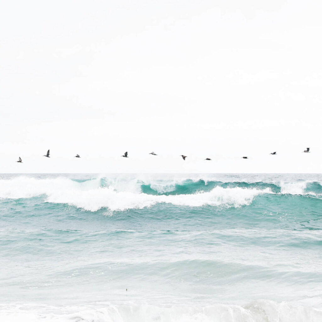 Free as a bird when you release what no longer serves you.