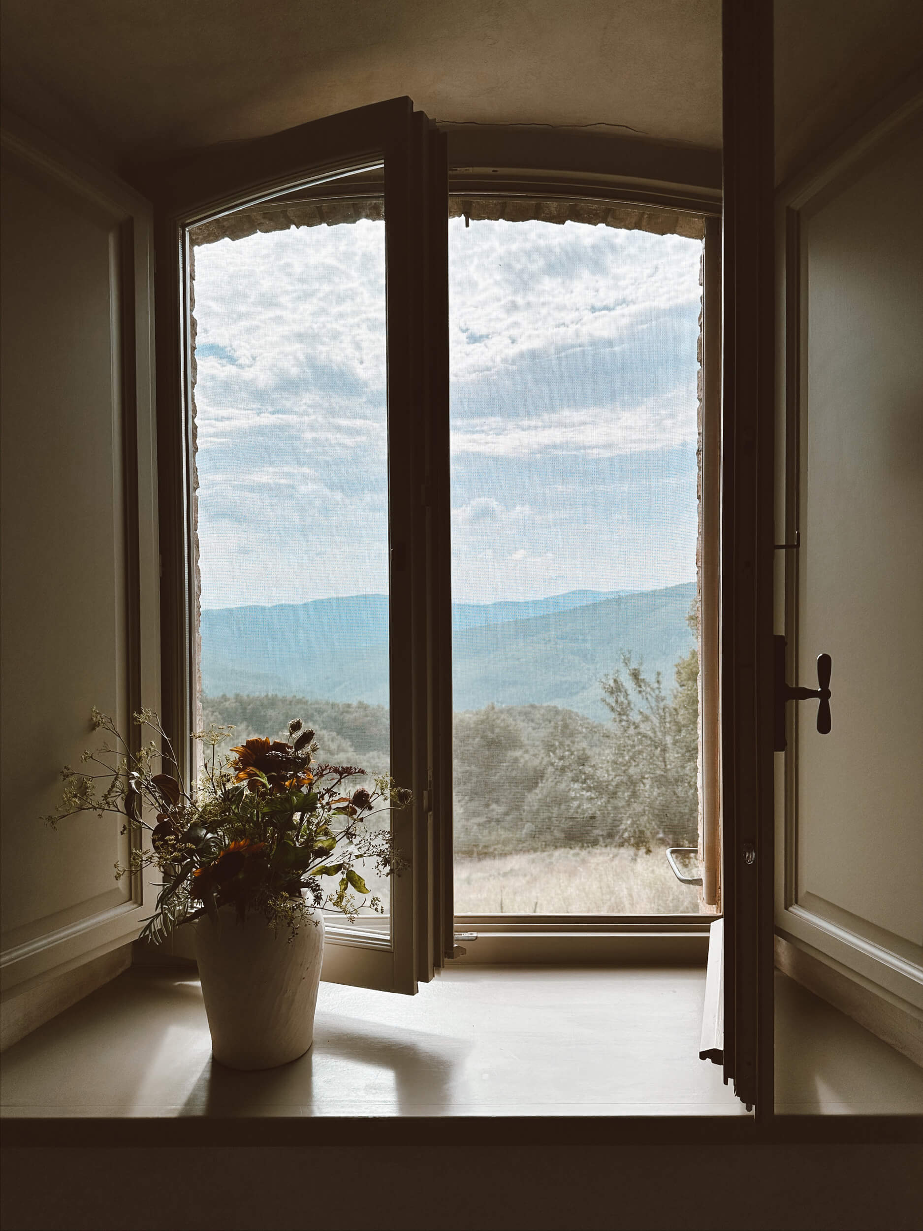 flowers by an open window