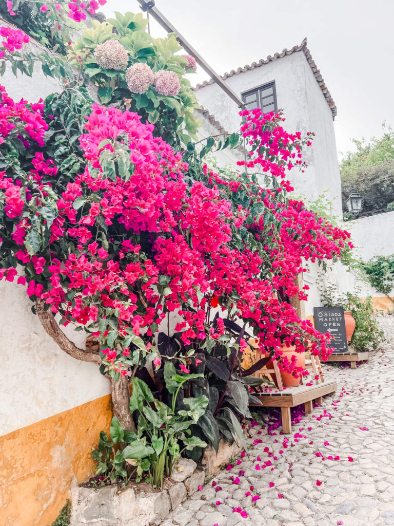 near the entrance more flowers