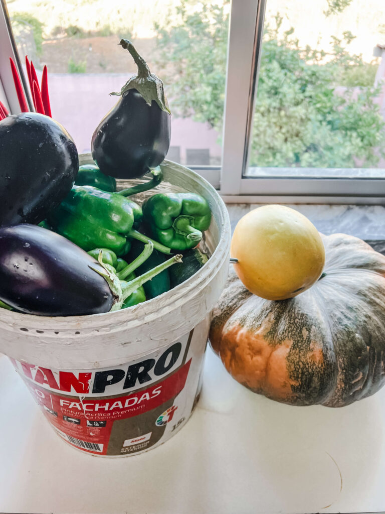 More surprise vegetables from our neighbours in portugal