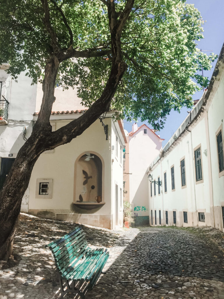 sun everywhere in lisbon