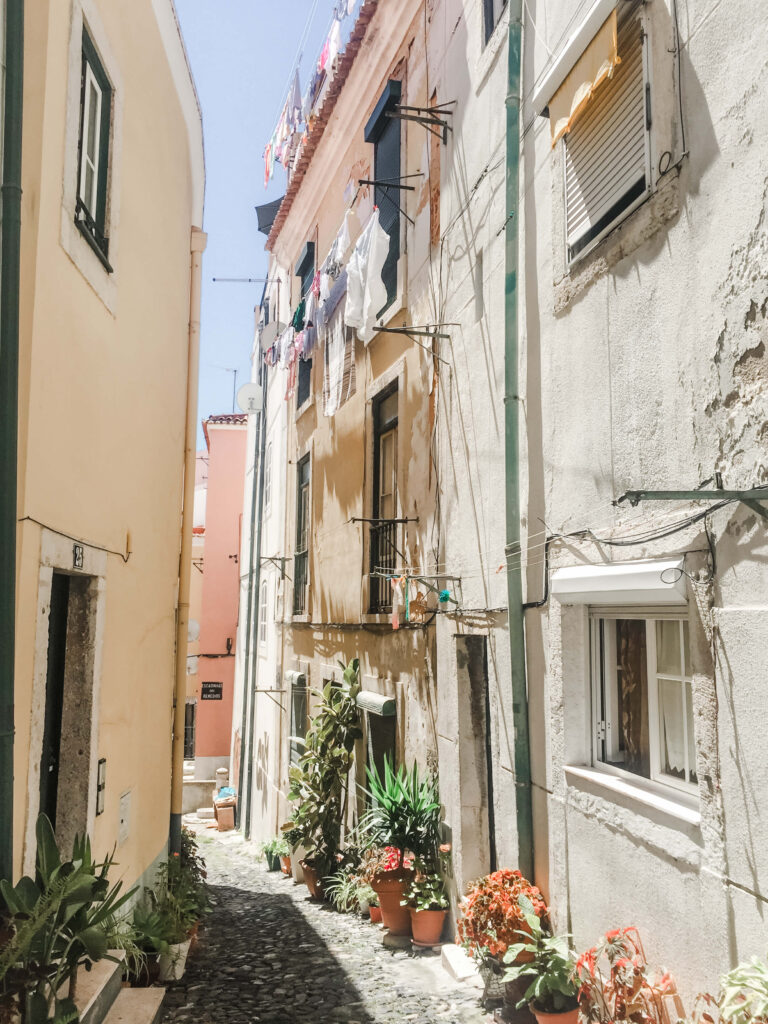 sun makes its way even in the narrow residential streets