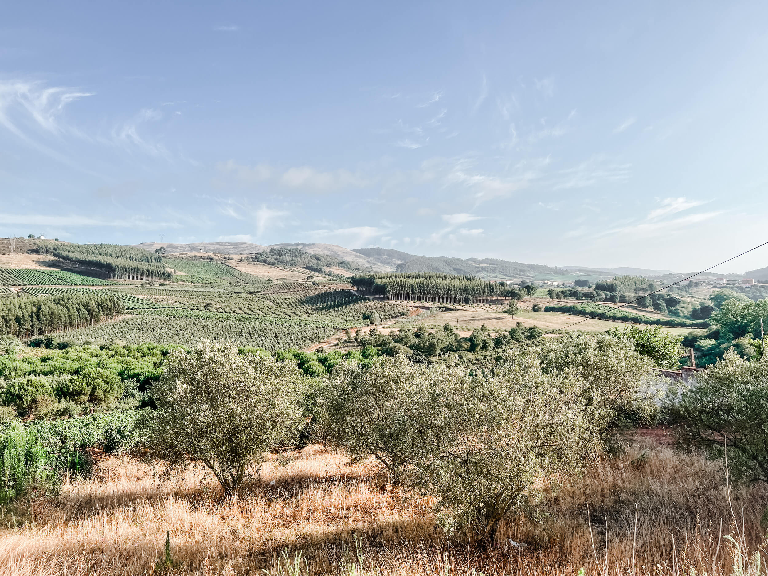 beautiful view of the portuguese countryside