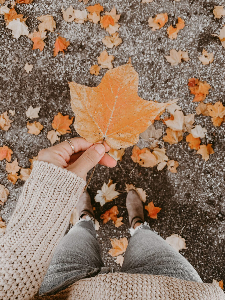 Pick up a fallen leaf this autumn.