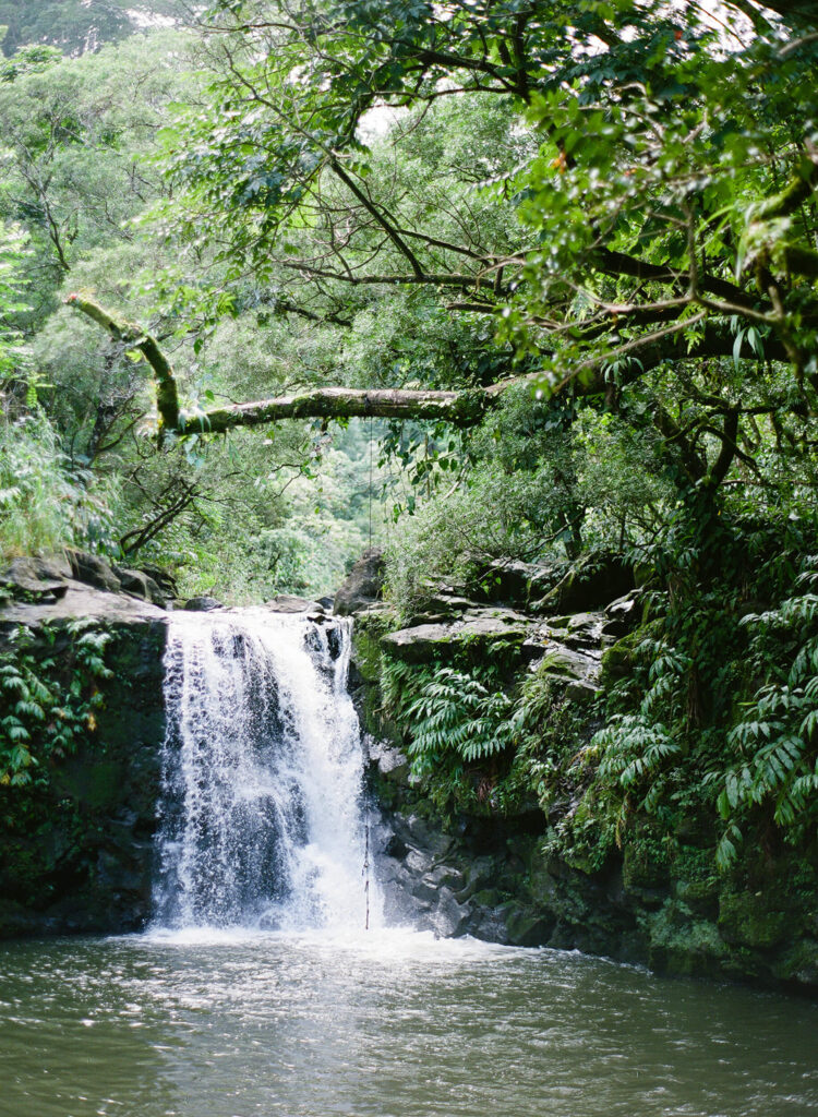 a waterfall surrounded by greenery