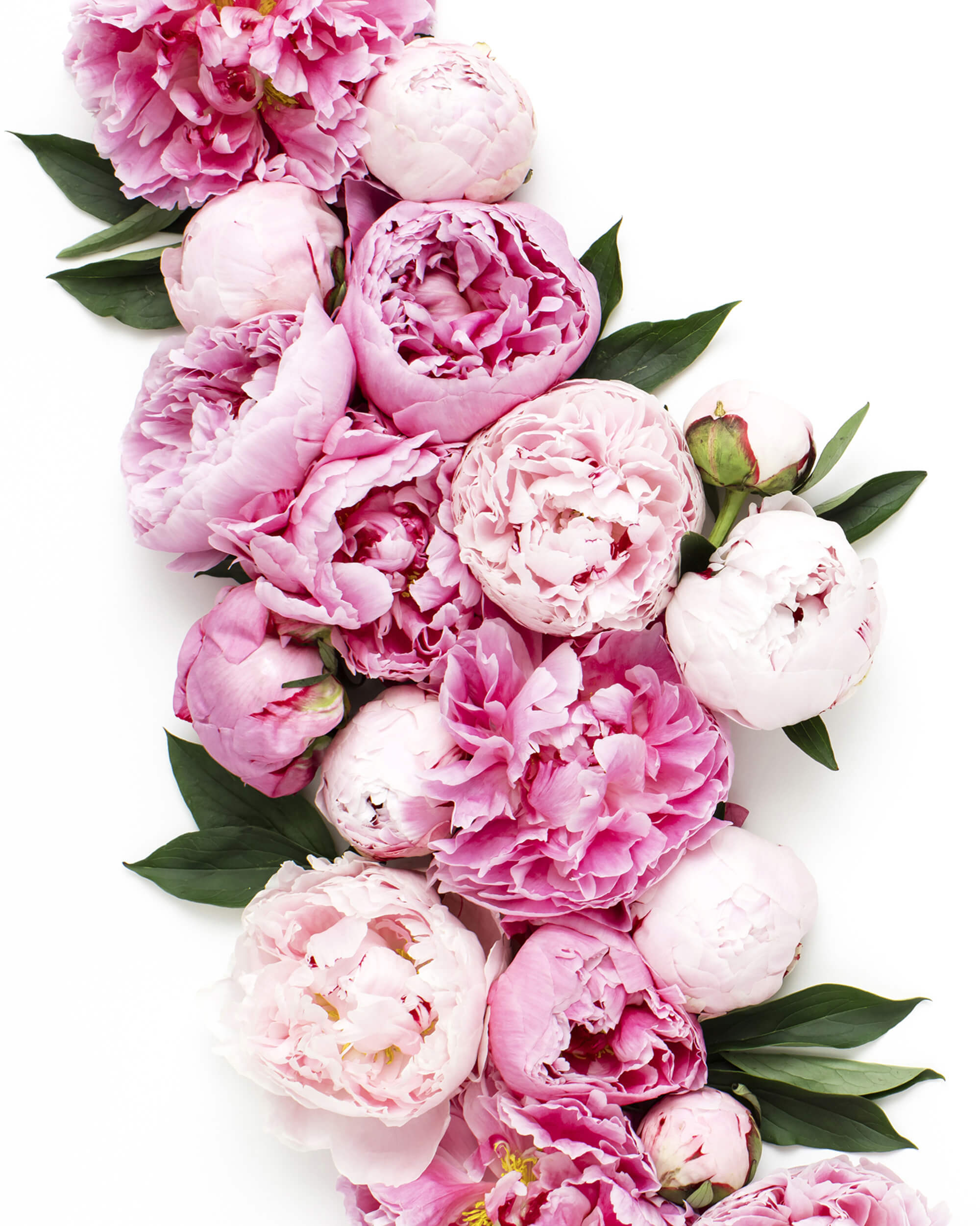 A bouquet of pink flowers
