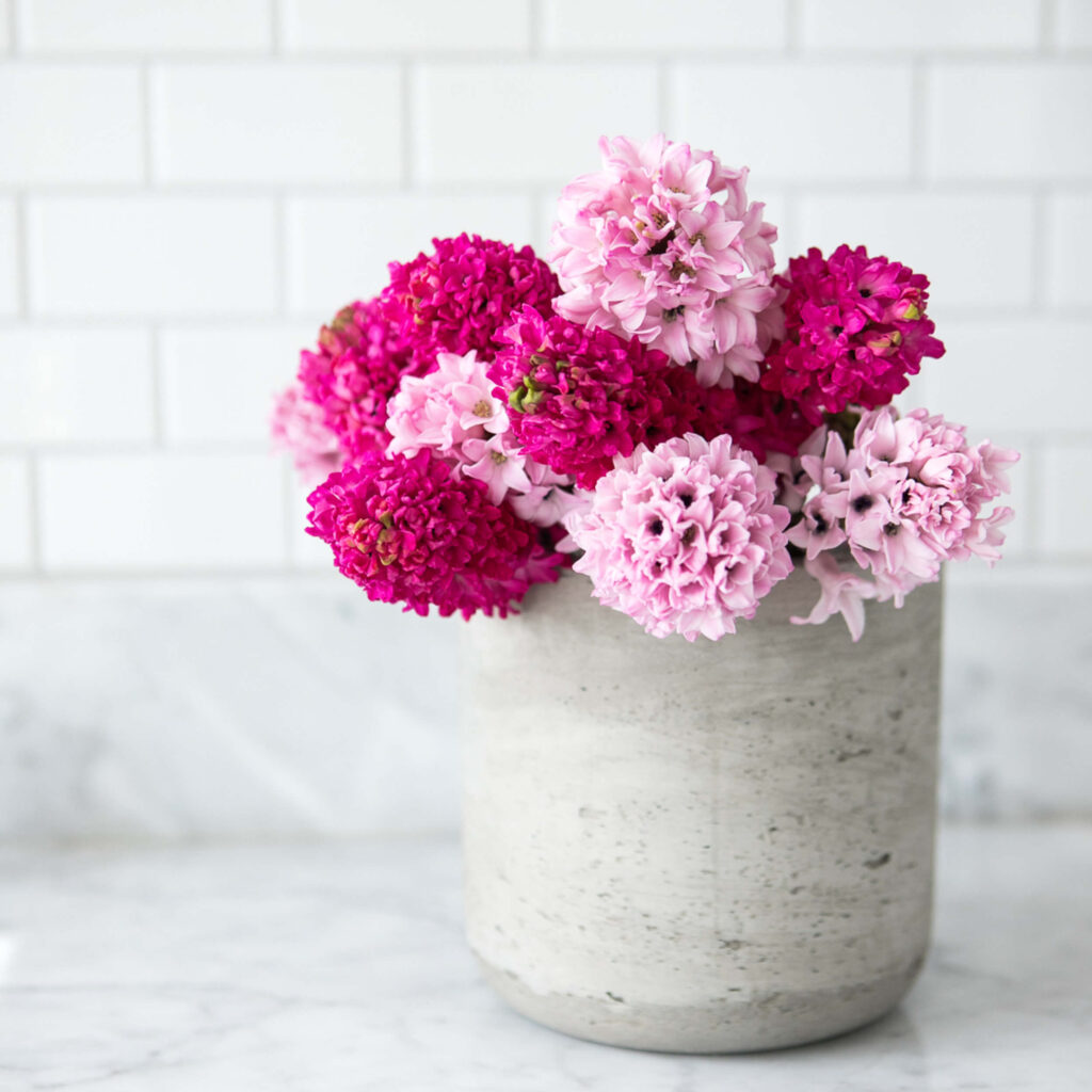 Light and Dark Pink Flowers in a Vase